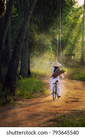 Vietnam Girl Riding Bicycle In Countryside On Sugar Palm Tree Background.