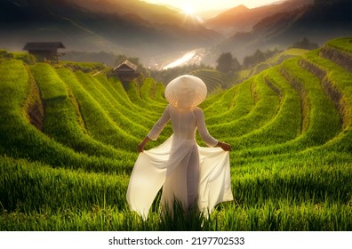 Vietnam girl in traditional white dress in Mu cang chai village walking on the mountain and golden rice terraces at Mucangchai town near Sapa city, north of Vietnam - Shutterstock ID 2197702533