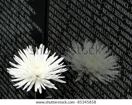 Vietnam Memorial 3/4 scale