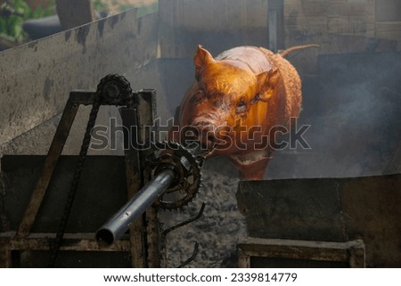 Vietnam Pig roasted on a barbecue spit. Outdoor Barbecue on a wood fire grill. Vietnamese called it Heo Quay