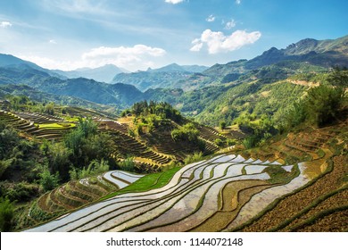 Vietnam Sapa Landscape