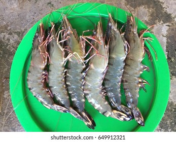 Mangrove Shrimp Images Stock Photos Vectors Shutterstock