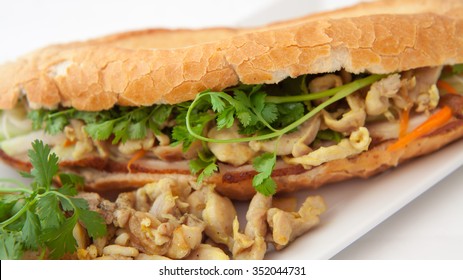 Vietnamese Chicken Pork Bacon Baguette -  Banh Mi