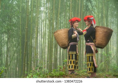 Vietnamese Ethnic Minority Red Dao Women In Traditional Dress And Basket On Back In Misty Bamboo Forest In Lao Cai, Vietnam