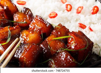Vietnamese food: caramelized pork belly with rice macro. horizontal background