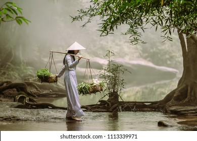 The Vietnamese girl in the traditional dress is carrying a basket with herbs and lotuses crossing a stream in a community in Vietnam.