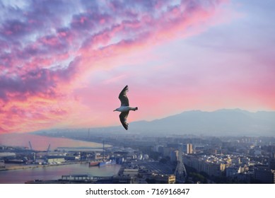 Bird’s-eye view.