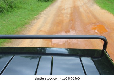View from 4x4 safari jeep, driving offroad on dirt road in national park, searching for wild animals and wildlife. Explore the world concept