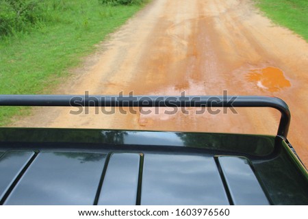 View from 4x4 safari jeep, driving offroad on dirt road in national park, searching for wild animals and wildlife. Explore the world concept