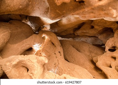 Inside Anthill Images Stock Photos Vectors Shutterstock - 