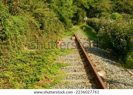 View at abandoned train tracks on Italy