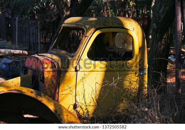 VIEW OF\
AN ABANDONED VINTAGE MOTOR VEHICLE UNDER\
TREES