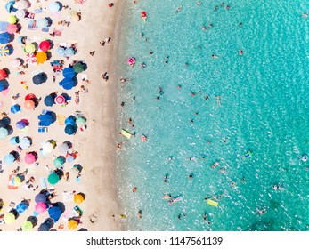 View from above, aerial view of an emerald and transparent Mediterranean sea with a white beach full of beach umbrellas and tourists who relax and swim. Costa Smeralda, Sardinia, Italy.
