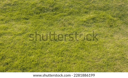 A view from above against the backdrop of a fresh and barren, unevenly growing green lawn that is common in parks in the Thai countryside.