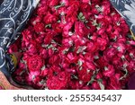 View above a bag of freshly picked red roses in a farmers flower market in Jaipur, Rajasthan, India