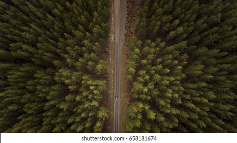 View From Above Of Car Driving Down Road Between Forest