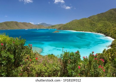 View above Cinnamon Bay with foreground flowers on the island of St. John in the United States Virgin Islands.