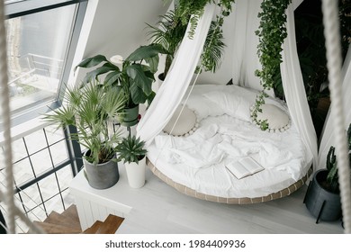 View From Above Of Cozy Light Bedroom In Bohemian Style With Round Canopy Bed On Second House Floor, Decorated With Different Green Tropical Plants In Flower Pots On Floor And Ceiling, No People