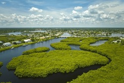 View From Above Of Florida Everglades With Green Vegetation Between Ocean Water Inlets. Natural Habitat Of Many Tropical Species In Wetlands