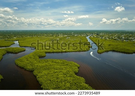View from above of Florida everglades with green vegetation between ocean water inlets. Natural habitat of many tropical species in wetlands