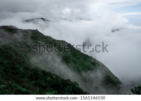 Similar – Nebel im Hohen Venn