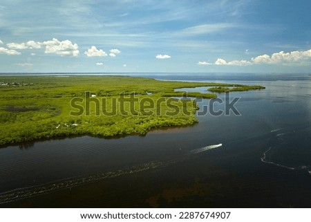 View from above of a motorboat floating on Florida everglades with green vegetation between ocean water inlets. Natural habitat of many tropical species in wetlands