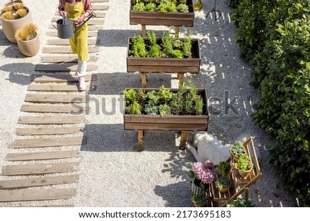 View from above on home vegetable garden with wooden planters in which spicy herbs grow and young gardener taking care of them.