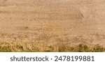 view from above on texture of dry muddy road with tractor tire tracks in countryside