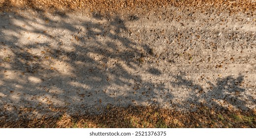 view from above on texture and surface of gravel path in autumn forest