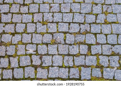 View from above onto stone pavement of urban street. Grass sprouts between tiles - Powered by Shutterstock