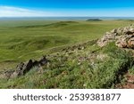 View from above over the green, lush steppe in eastern Mongolia with a blue sky and a light haze on the horizon