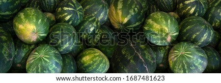 View from above of ripe, lying on top of each other, green yellow watermelons - panorama