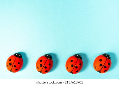 view from above of some ladybugs on a colored surface