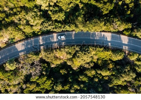 View from above, stunning aerial view of a moving car on a road surrounded by a beautiful green vegetation. Sardinia, Italy.