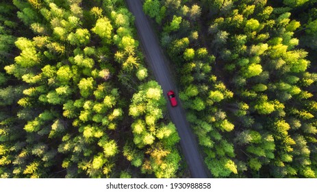 View from above, stunning aerial view of a red car that runs along a road flanked by a green spring forest at sunset.