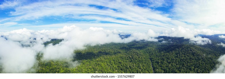 30 Gua Telinga Images, Stock Photos & Vectors | Shutterstock