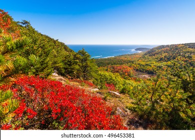 View Of Acadia National Park During Fall Foliage Season