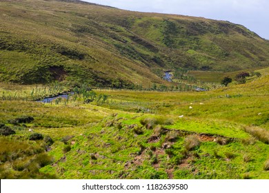 A View Across The Carn Glenshane Pass Peatland In The Sperrin Mountains Northern Ireland On An Early Autumn Day In September.