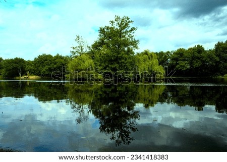 View across a clear lake to a tall tree. On the left side is a broken tree stemp. 
