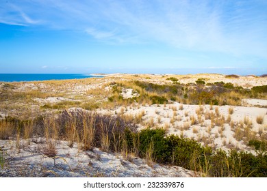 1,258 Delaware shore Images, Stock Photos & Vectors | Shutterstock