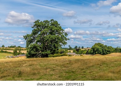 A view across the fields close to Upper Harlestone, Northampton, UK in summertime