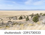 View across Goose Lake in Northern California in fall with arid landscape with pale blue sky