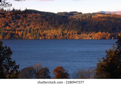 View Across Lake Windermere With Trees In Autumn Colours, Lake District England
