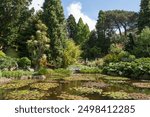 View across lily pond and various plant specimens at the Royal Tasmanian Botanical Gardens, Hobart, Tasmania