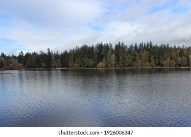 View Across Lost Lagoon In Vancouver