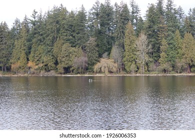 View Across Lost Lagoon In Vancouver