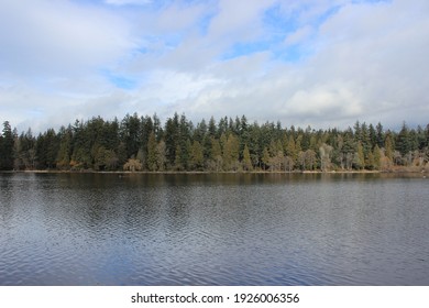 View Across Lost Lagoon In Vancouver