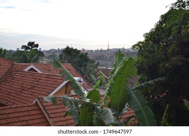 A view across red tiled rooftops in Kampala, Uganda. Large trees are in the foreground. 