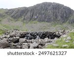 View across Stickle Tarn to Pavey Ark, Lake District