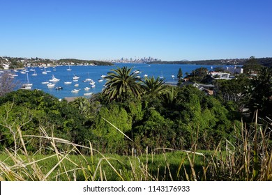 View across Sydney Harbour towards Sydney's Distant Skyline from the Top of the Cliffs at Watsons Bay - Shutterstock ID 1143176933